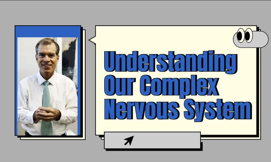 Understanding Our Complex Nervous System | Chiropractor for Neuropathy in Stuart, FL